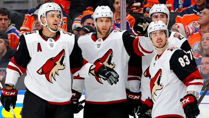 Arizona Coyotes hockey players on the ice