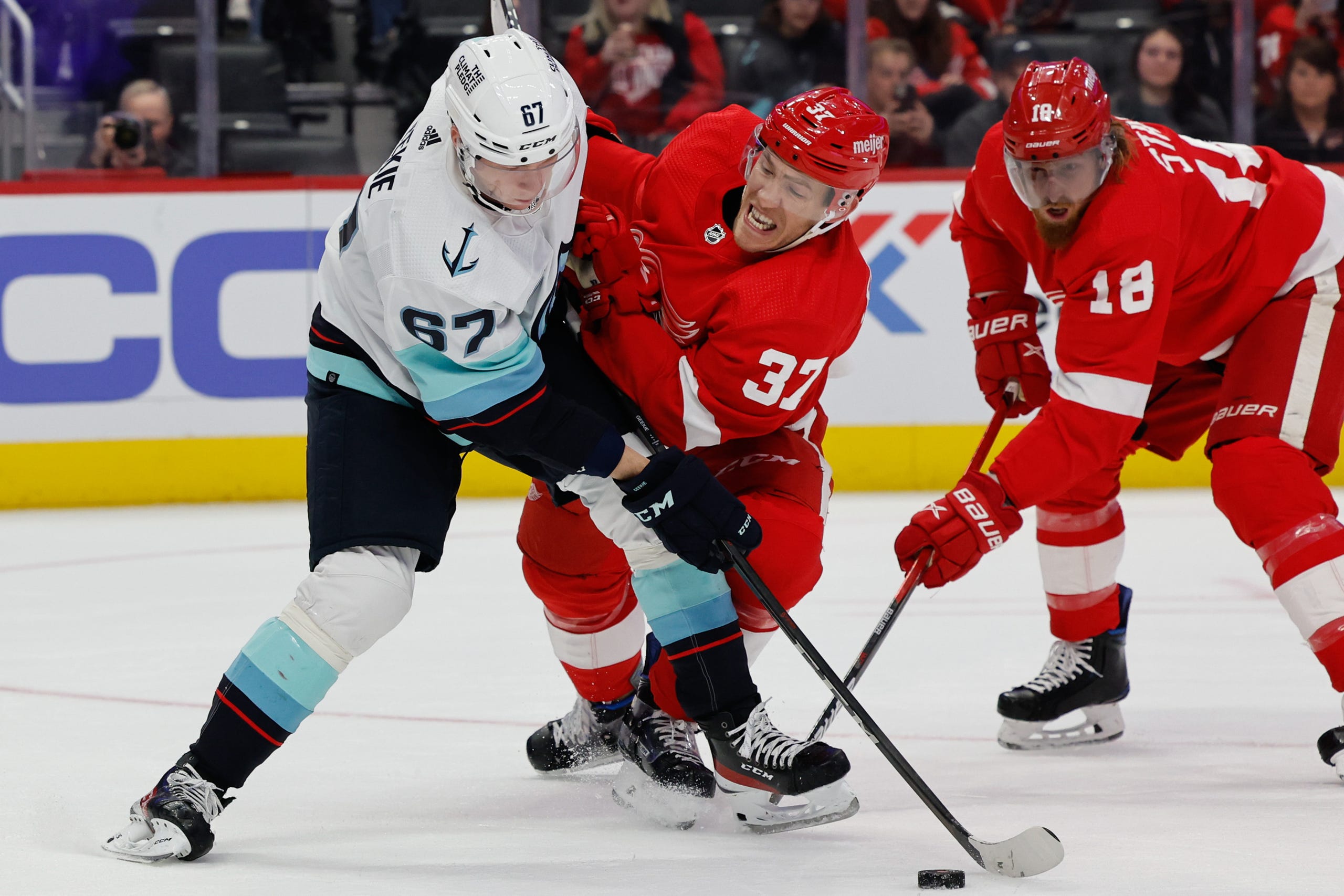 Red Wings Battled The Kraken