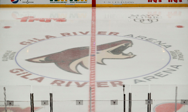 Arizona Coyotes