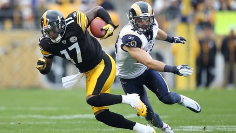 Mike Wallace is the type of player the Steelers are missing