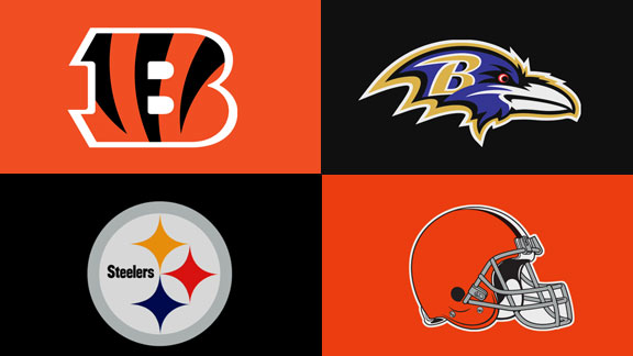 AFC NORTH