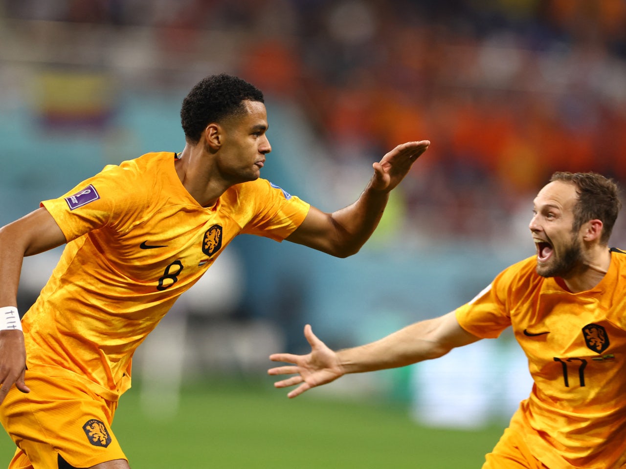 World Cup Cody Gakpo